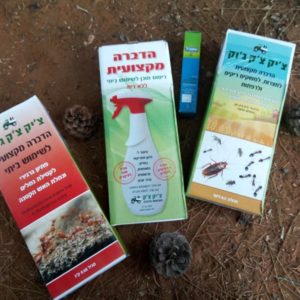 נמלים בבית מה עושים?